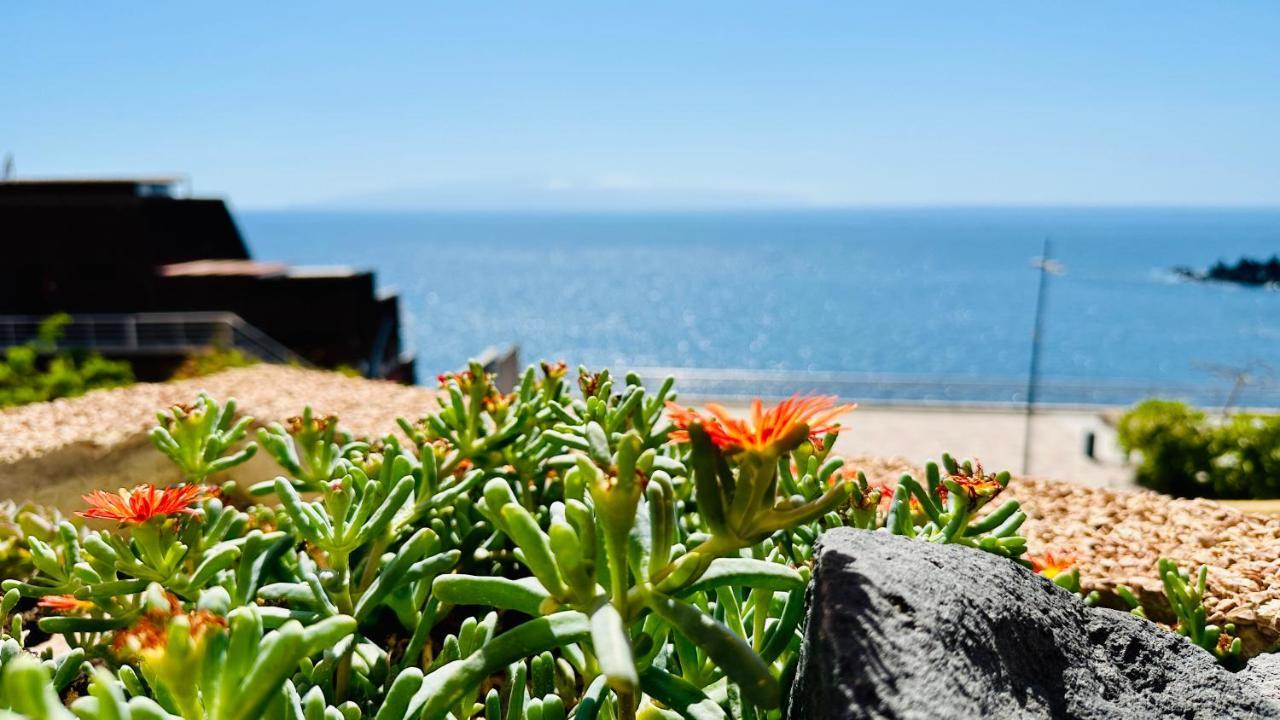 Serigor Bahia Ocean View Puerto de Santiago  Buitenkant foto
